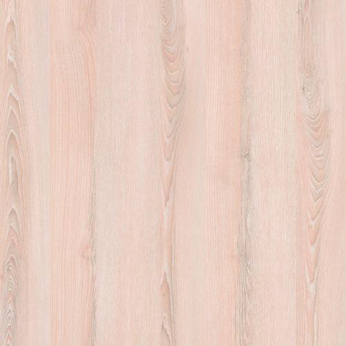 portfolio item image