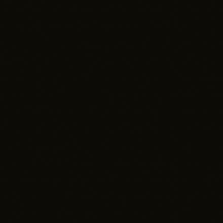 portfolio item image