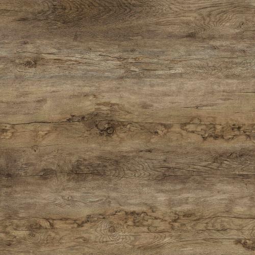 portfolio item image