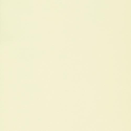 portfolio item image