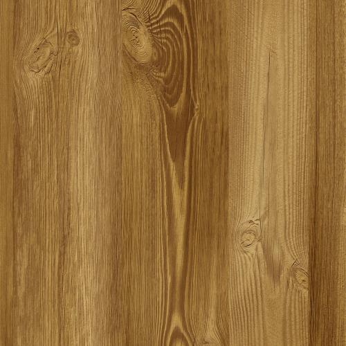 portfolio item image