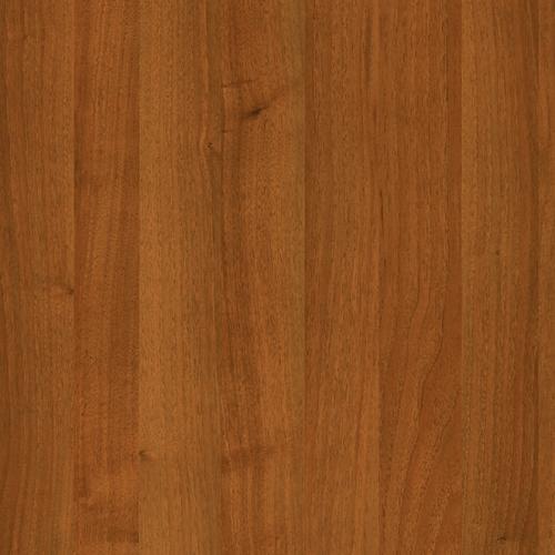 portfolio item image