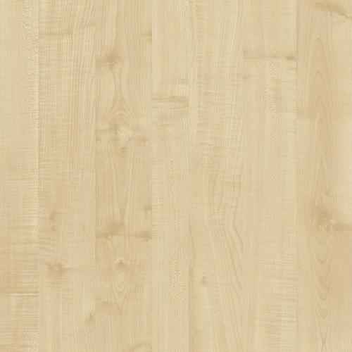 portfolio item image