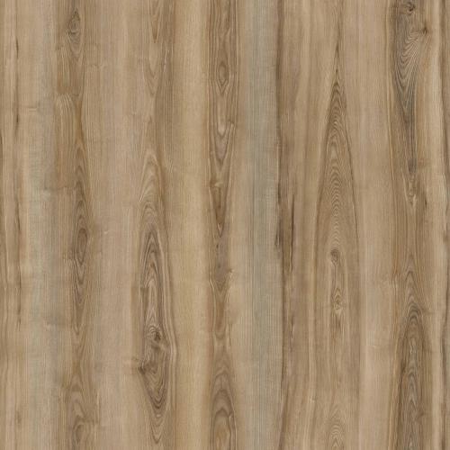 portfolio item image