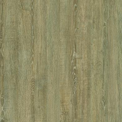 portfolio item image