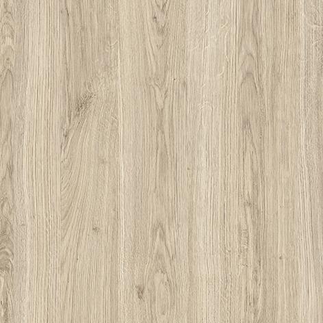 portfolio item image