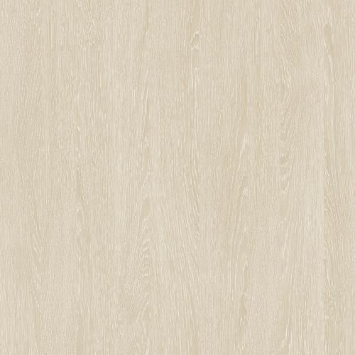 portfolio item image