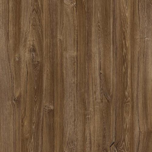 portfolio item image