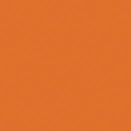 portfolio item image