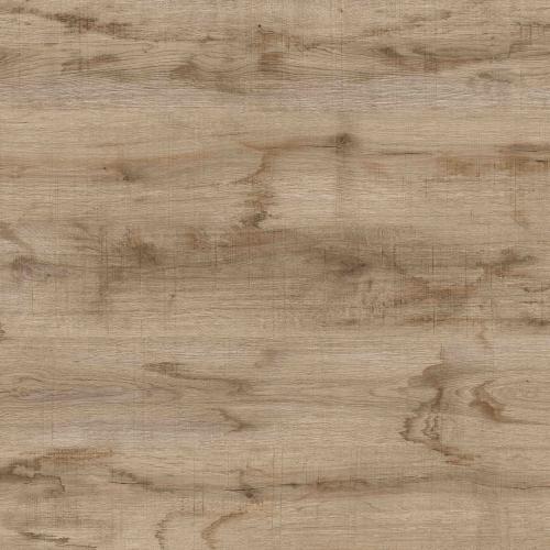 portfolio item image