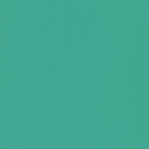 portfolio item image