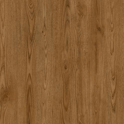 portfolio item image