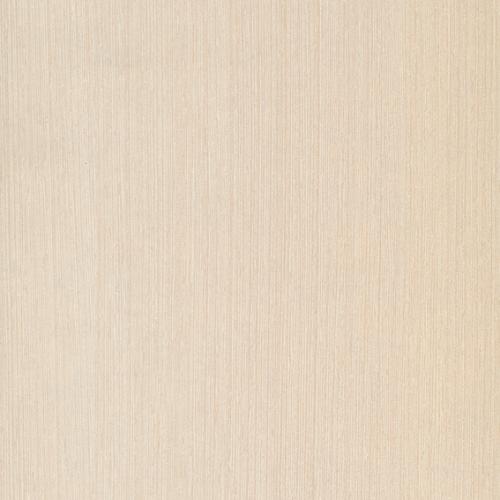 portfolio item image