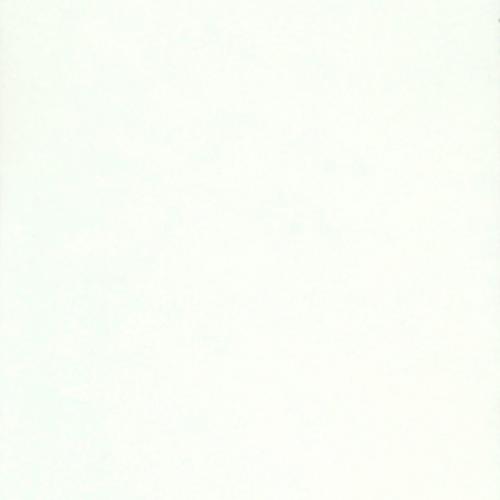 portfolio item image