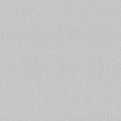 portfolio item image
