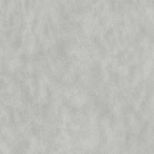 portfolio item image